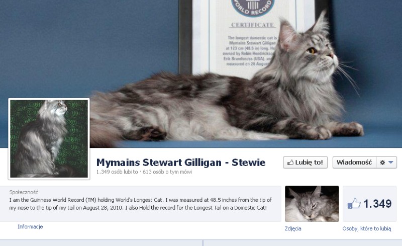 Stewie miał nawet swój profil na Facebooku (Facebook)