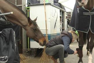  (Maciej Kaczanowski)