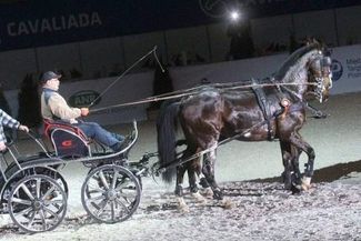  (Wojciech Nieśpiałowski)