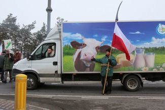  (Dorota Awiorko-Klimek)