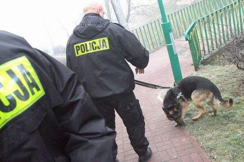 Na miejsce wysłano ponad 30 policjantów, w tym przewodnika z psem.  (Archiwum)