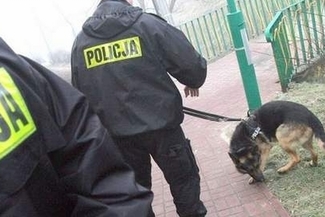 Na miejsce wysłano ponad 30 policjantów, w tym przewodnika z psem.  (Archiwum)