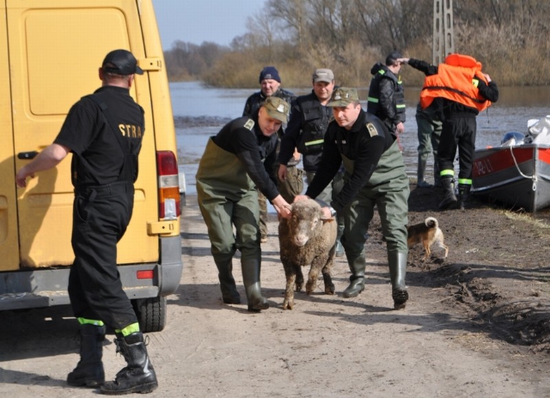 Strażnicy pomagają mieszkańcom zalanych miejscowości nad Bugiem (NOSG Chełm)