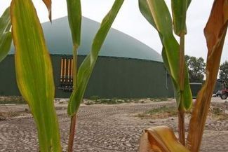 Bioelektrownia w Uhninie. (Archiwum)