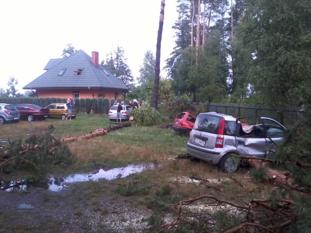Tak było w Okunince. Drzewo rozbiło dwa samochody. (Waldemar Makarewicz)