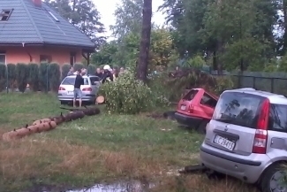 Tak było w Okunince. Drzewo rozbiło dwa samochody. (Waldemar Makarewicz)