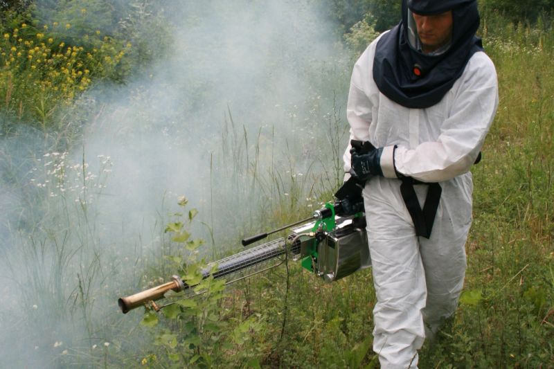 Ratusz jednak zleci tego lata przeprowadzenie oprysków zwalczających komary (Paweł Buczkowski / Arch