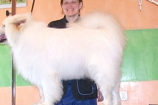 Pani Małgorzata w pracy (Archiwum Małgorzaty Świstek)