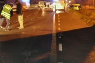 Zwierzęta nie przetrwały zderzenia z samochodem. (KMP Zamość)