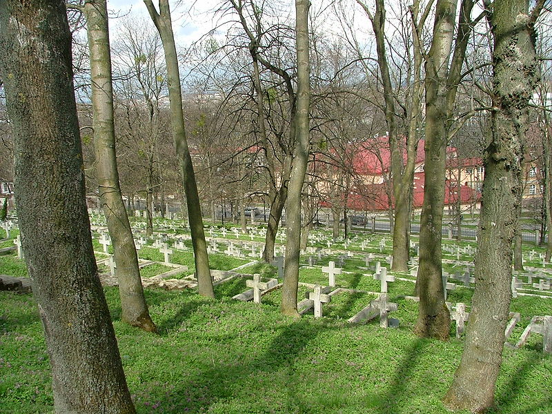 Cmentarz Wojenny w Chełmie (Alina Zienowicz )
