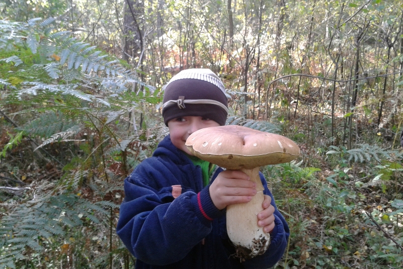 7-letni Kacper lubi wycieczki do lasu
