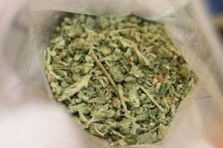 Narkotyki znaleziono w pudełku po lodach. (Policja / Archiwum)