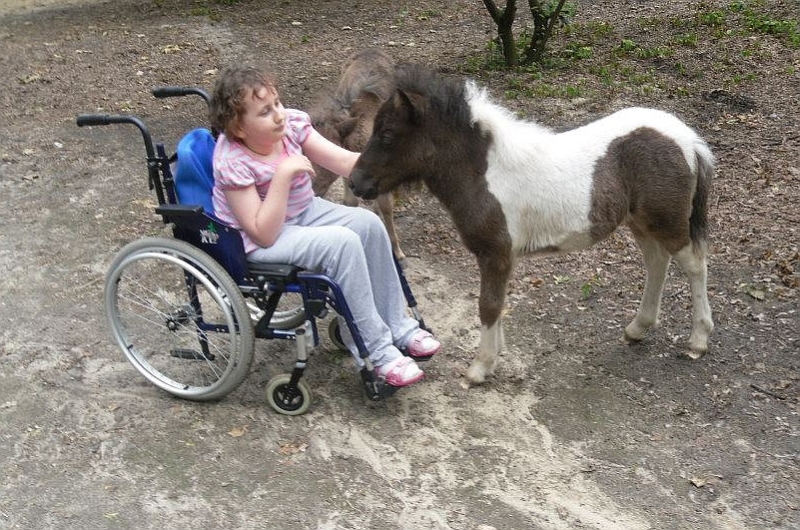 11-letnia Gabrysia porusza się na wózku inwalidzkim. Rodzice proszą o wsparcie na leczenie i rehabil