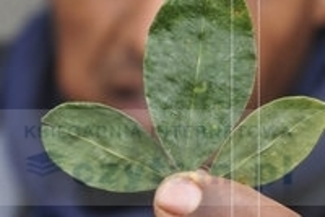 Luca Rastello "Przemytnik doskonały. Jak transportować tony kokainy i żyć szczęśliwie", Wydawnictw