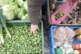 Po tzw. zdrową żywność częściej chodzimy na targ niż do wyspecjalizowanych sklepów  (Archiwum)