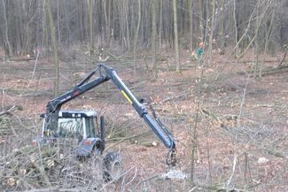 Drwale wycinają przeznaczony na trasę zjazdową las już od wtorku (JACEK BARCZYŃSKI)