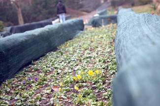 Zima się przesuwa. Zaatakuje wiosną?