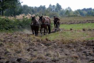 13,5 mld euro na rozwój polskiej wsi