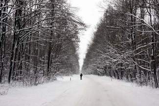 Zwierzyniec, Tomaszów, Józefów: Zakaz wstępu do lasów