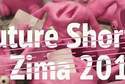 Future Shorts Zima 2014 (repertuar)