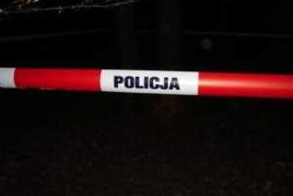 Prawie półmetrowy pocisk w polu