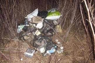 Znalazła swoje śmieci w krzakach koło domu. Oskarża firmę wywożącą odpady