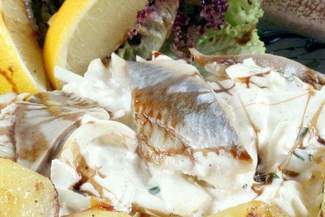 Przepisy na potrawy ze śledzia