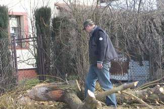W Chełmie zadomowiły się bobry. "Są wszędzie"