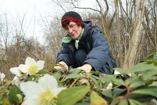Wiosna coraz bliżej. Za tydzień nawet 15 stopni Celsjusza