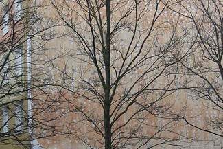 Wichura siała spustoszenie w regionie. Zerwane ocieplenie bloku w Chełmie