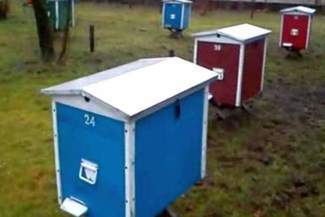 Złodziej ukradł ule z pszczołami w środku (wideo)