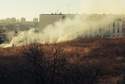 Trawy znowu płoną