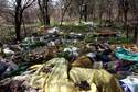 Wszyscy płacimy za brudasów. Pełno nielegalnych wysypisk