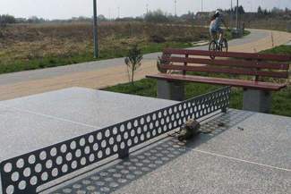 Bulwar nad Uherką: Stojak na rowery na drzewie, wyrwane ławki