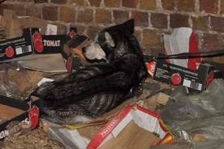 Skrajnie wyczerpany pies na posesji 43-latka