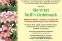 Do ogródka i na balkon. Kiermasz Roślin Ozdobnych w Końskowoli