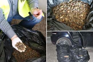 40 kilogramów bursztynu z przemytu