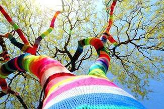 Drzewa w swetrach, czyli bombardowanie włóczką w Lublinie