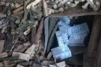 Schował papierosy pod stosem drzewa