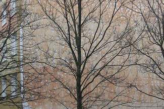 Ocieplenie spadło z bloku. Firma już nie wygra przetargu