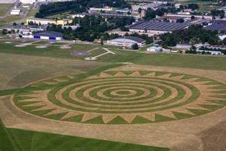 Landarty Koziary powstają przy lotnisku. Jest już ogromne słońce