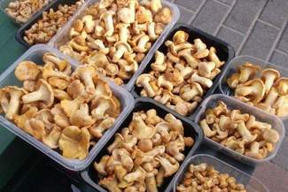 Pierwsze grzyby na targowiskach w regionie