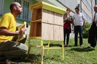 Wolne pokoje dla pszczół i trzmieli. Hotele stanęły w Lublinie