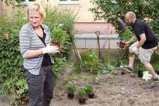 Co tu łączy sąsiadów? Hortensje i róże (zdjęcia)