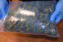 Marihuana warta 10 tys. zł u mieszkańca Białej Podlaskiej