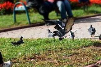 Zagraj w osiedle. Poznaj miasto