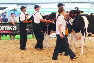 Wystawa Zwierząt Hodowlanych w Sitnie (program)