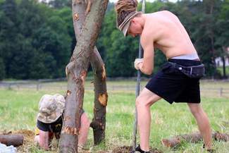 4. Landart Festiwal: Drzewa inne niż wszystkie