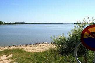 Nielisz, Zwierzyniec. Ludzie na brzegu, sinice pływają