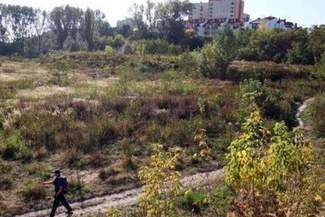 Wycięli las, teraz mają zapłacić za drzewa. Powstanie park